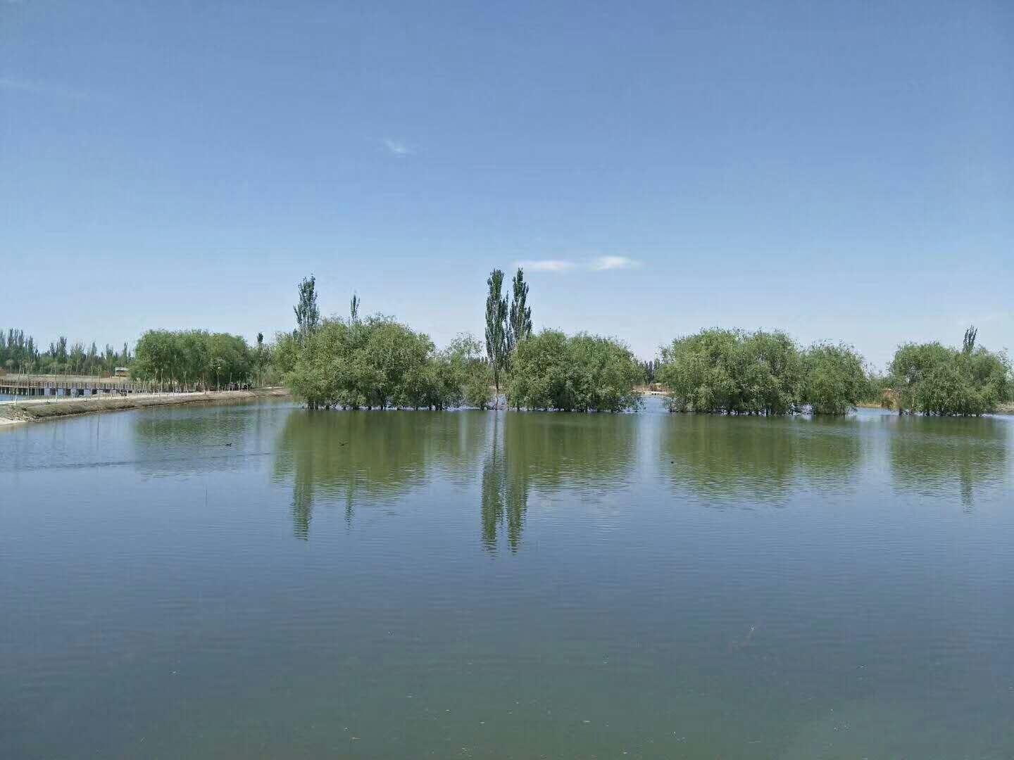 濕地公園1